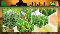 Agri News Bulletin : पराली निस्तारण के लिए कृषि यंत्र खरीदने पर 50 से 80% सब्सिडी, 7 सितंबर तक कर दें आवेदन  ।। Green TV