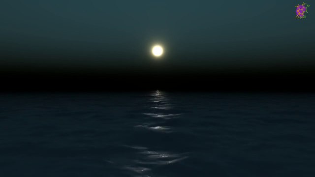 15 Minute Meditation Music for Stress-Relief | Forest | Landscape | Relaxation | Study | Sleep | Focus | Concentration | Soothing | Healing | Serene | Calming | Joyful