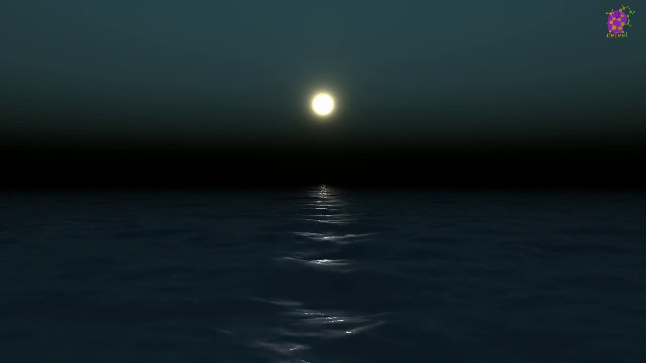 15 Minute Meditation Music for Stress-Relief | Forest | Landscape | Relaxation | Study | Sleep | Focus | Concentration | Soothing | Healing | Serene | Calming | Joyful