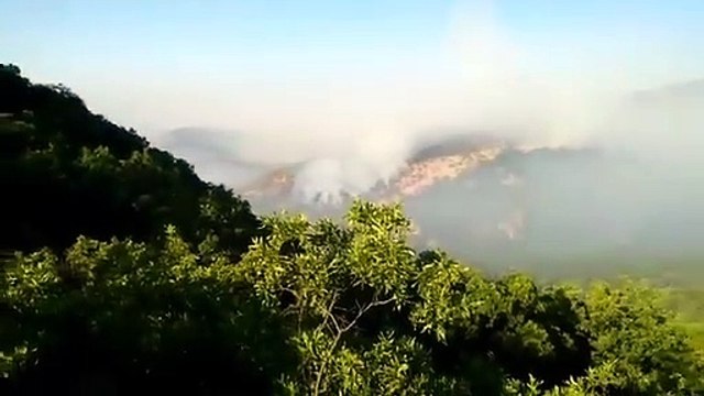 Fatih Maçoğlu: Yangından son görüntü. Bugün ... #dersimyanıyorsesver