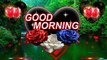 Amazing Good morning wishes | good morning video | new morning status