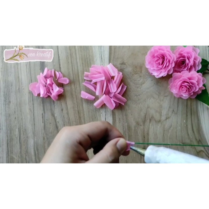 DIY| BUNGA CAMELIA DARI SEDOTAN