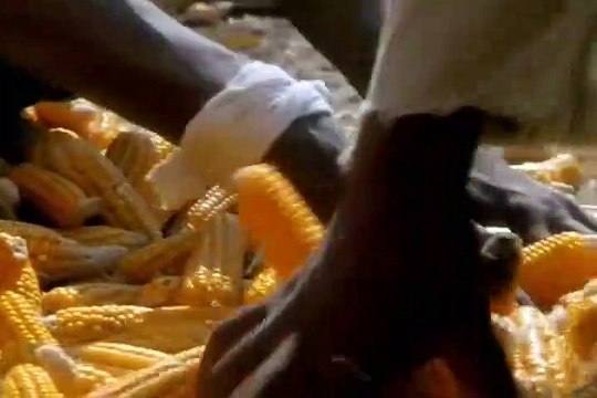 Egypt's Golden Empire (1 of 3) The Warrior Pharaohs