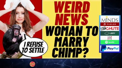 Woman Wants To Marry Zoo Chimp, Other Weird News