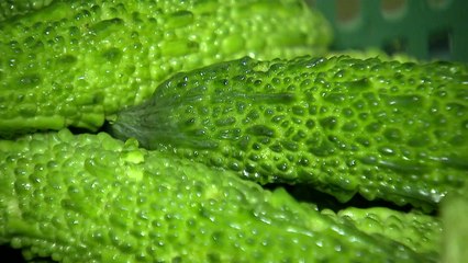 [新농비] "건강엔 참 좋은데"...쓰디 쓴 여주, 보다 쉽게 먹는 법 / YTN