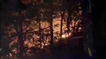 Bursa'da yıldırım düştü, ormanlık alanda yangın çıktı