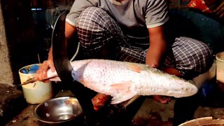 Live Coral Fish Cutting Skills in BD 2021- BD Coral Fish Slicing By Fish Cutters.