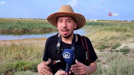 'Mileyha Sulak' alanda  kuş gözlem etkinliği