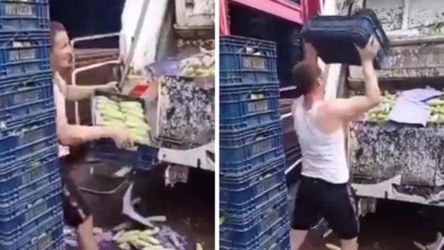 Sebze halinde kasalar dolusu kabağın çöpe dökülmesi bakanlığı harekete geçirdi