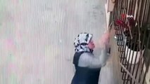Camdaki çiçeği saksıdan söküp çalan kadın kamerada