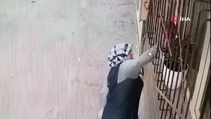 Bursa'da çiçek hırsızı kamerada! Camdaki çiçeği saksıdan söküp...