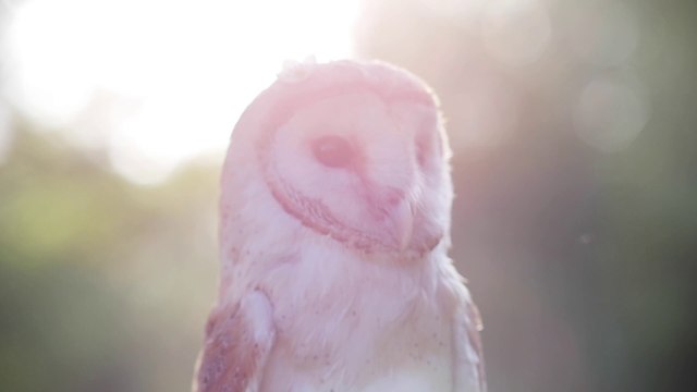 Restauration des milieux naturels et Animation