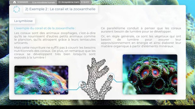 Aperçu des cours interactifs