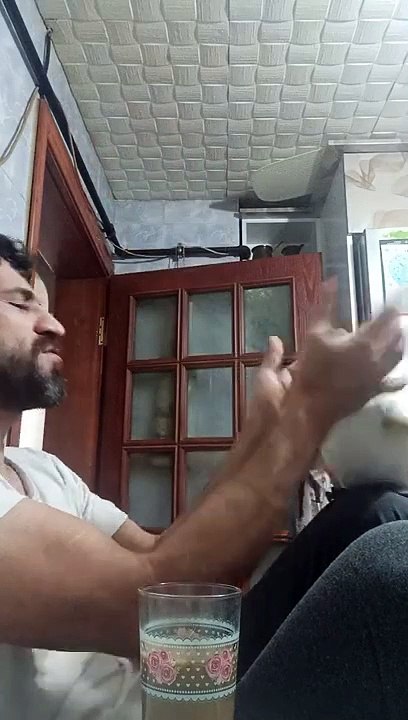 bulut efsane papağan