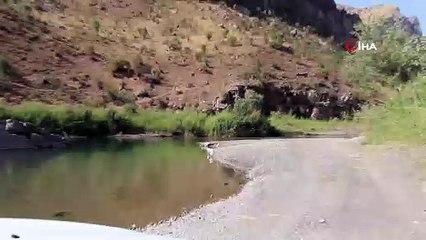 Kuraklık balıkçıl kuş türlerini farklı yaşam alanlarına göç ettiriyor
