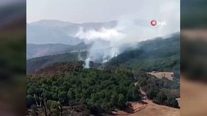 Video herunterladen: 2 helikopter ve 1 uçağın müdahale ettiği Tunceli’deki orman yangınının yüzde 95’i söndürüldü