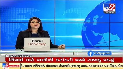 One nabbed with 69 kg Ganja, valuables worth Rs 3.62L seized _ Dhoraji _ Tv9GujaratiNews