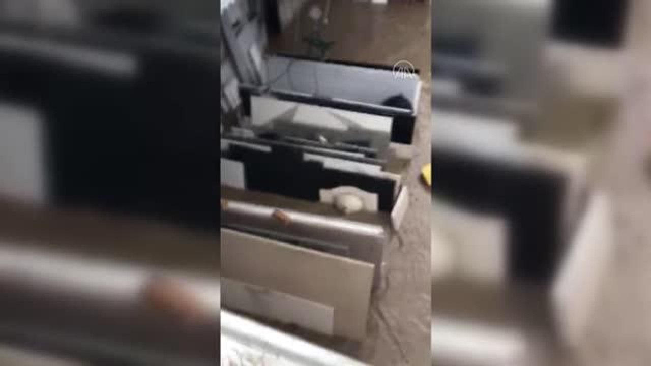 Son dakika haberleri | KASTAMONU - Bozkurt'taki sel felaketinde iki köpeğin sel sularından kurtulma çabası cep telefonu kamerasına yansıdı