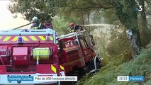 Landes : près de 100 hectares détruits par deux incendies