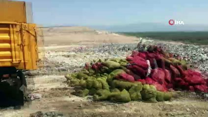 Antalya’da 4 ton kaçak midye ele geçirildi