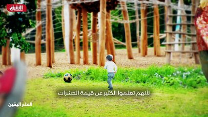 ...تقاليد الحشرات هي مادة دراسية منفصلة الط...