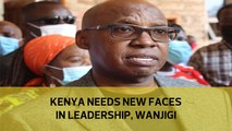 Kenya needs new faces in leadership, Wanjigi