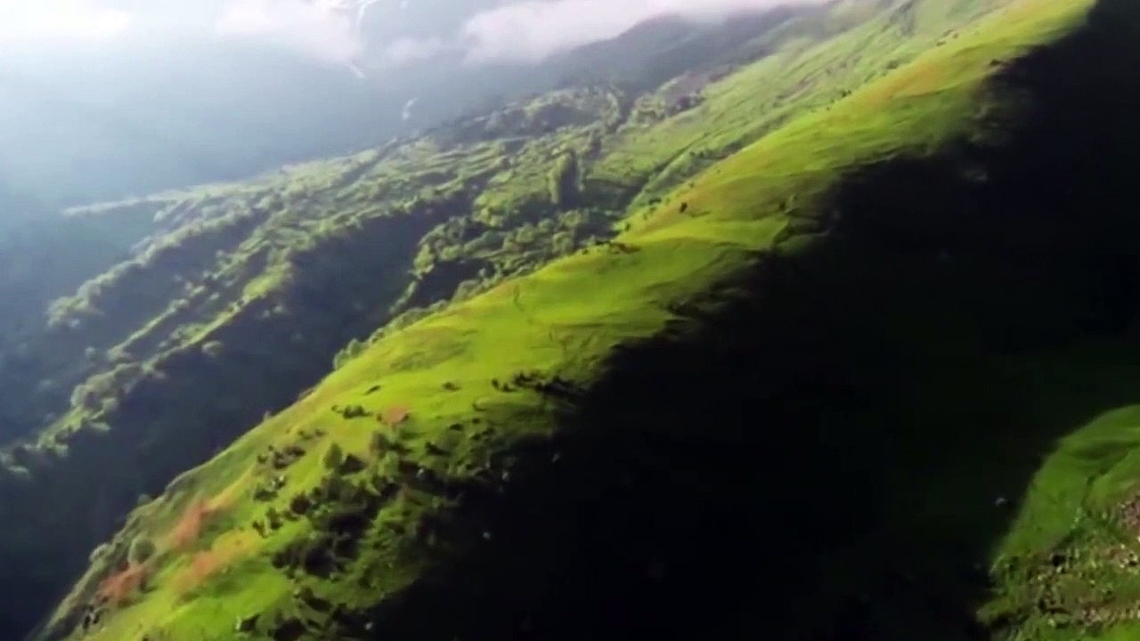 4k- beautiful nature and flowers video with relaxing music