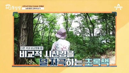 산에 올라서 한참을 멍때린다고...? 눈에 좋은 초록색 보기! ★장수고 우등생의 눈건강 비결★