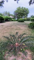 Awesome weather #shortsvideo #lovenature #entertainment #eveningroutine