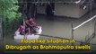 Flood-like situation in Dibrugarh as Brahmaputra swells