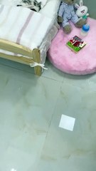 Baby Cats - Cute and Funny Baby Cat Videos Compilation #shorts