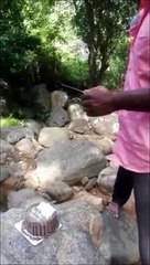 Un singe vient gacher l'anniversaire