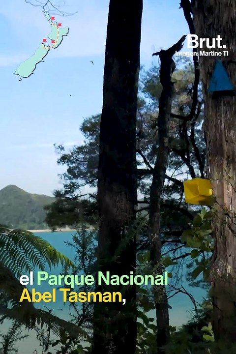 Toda Nueva Zelanda en tres semanas