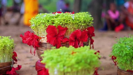 KARMA SONG  2021 CHAL DIDI KARMA NACHELAI