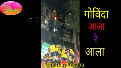 Happy janmaastami |. Happy birthday Krishna |  Dahi Handi celebrate