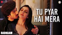 Tu Pyar Hai Mera | Badnaam | Yasser Desai | Priyal Gor & Mohit Sehgal