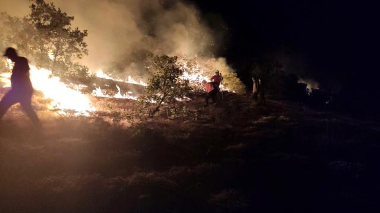 Bingöl'de bir bölgedeki yangın söndürüldü, diğer yangına müdahale sürüyor