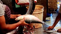 Fastest Ilish(Hilsha) Fish Cutting | Incredible Huge Fish Cutting Live In Fish Market 2021