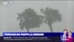 L'ouragan Ida frappe la Louisiane, 16 ans après Katrina