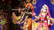 Krishna Janmashtami: India Celebrates birth of Lord Krishna