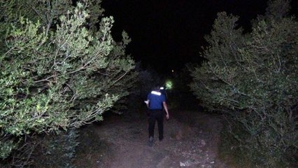 Son dakika... Orman yangını sanıldı, çiftlik yangını çıktı