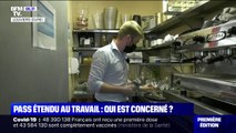 Quels sont les salariés concernés par l'extension du pass sanitaire en entreprise ?