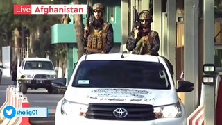 Taliban Elite Forces are on the road | Badri 313 Batalian on roads of Kabul | Afghanistan Live