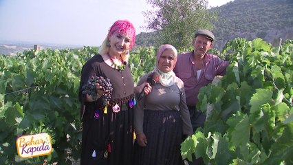 Bahar Kapıda - Mersin/Parmakkurdu | 29 Ağustos 2021