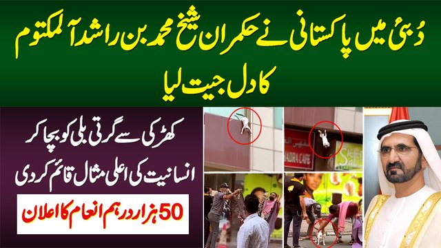 Dubai Me Pakistani Ne Cat Ki Jan Bacha Ke Sheikh Mohammed Bin Rashid Se 50,000 Dirham Inam Hasil Kia