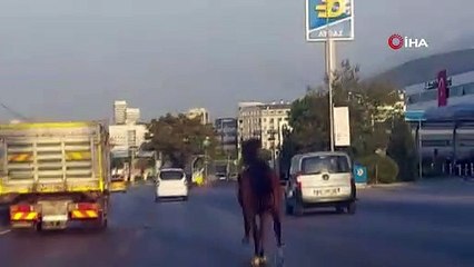 Görüntüler Bursa’dan... Trafikte dört nala