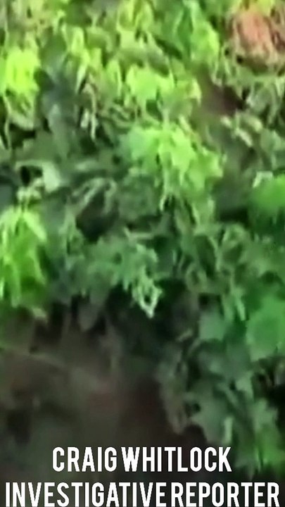 US lies about Afghan War - The Afghanistan Papers?