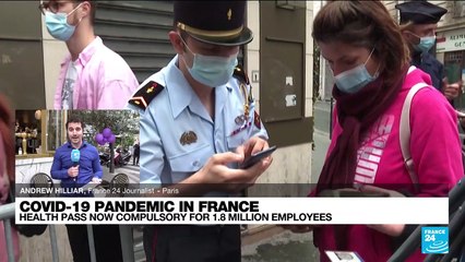 Health pass becomes compulsory for some 1.8 million employees in France
