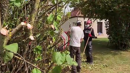 Après 10 ans de fermeture, une école rouvre à Epagny, un petit village de Côte-d'Or