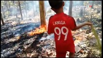 Puluhan Hektare Lahan Hutan Jati Bojonegoro Terbakar